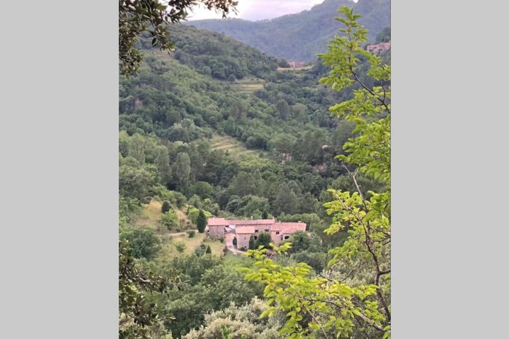 Mas Historique Du Xve Cevennes Villa Saint-Paul-la-Coste Exterior foto